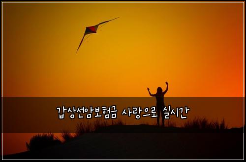 갑상선암보험금 사랑으로 실시간