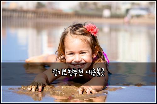 정기보험추천 내용볼곳