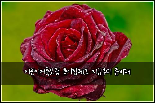 어린이저축보험 특이점체크  지금부터 준비해