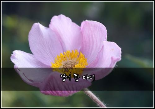영어 한 마디
