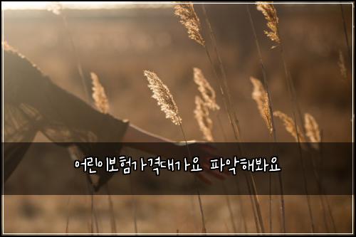 어린이보험가격대가요 파악해봐요