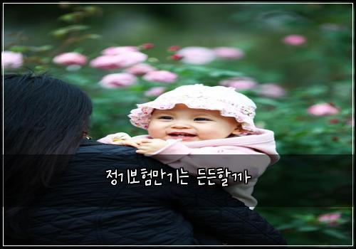 정기보험만기는 든든할까