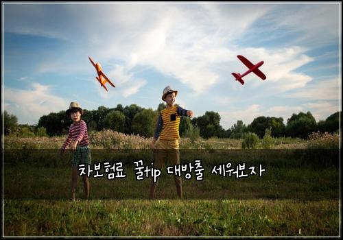 차보험료 꿀tip 대방출 세워보자