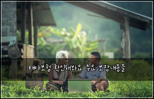 ํ์๋ณดํ ํ์ธํด๋ด์ ์ฃผ์ ๋ณด์ฅ๋ด์ฉ์
