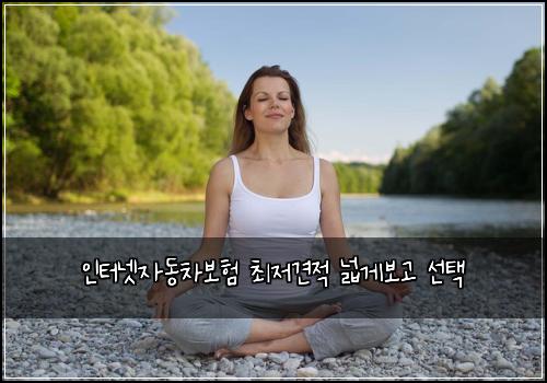 인터넷자동차보험 최저견적  넓게보고 선택