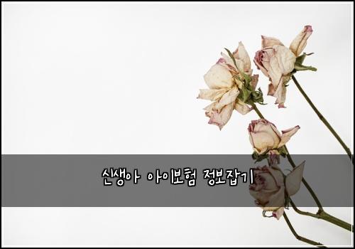 신생아 아이보험 정보잡기 