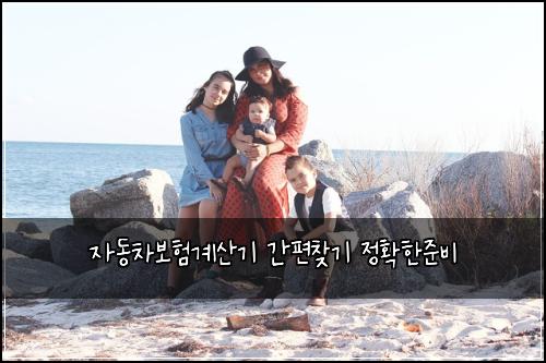 ์๋์ฐจ๋ณดํ๊ณ์ฐ๊ธฐ ๊ฐํธ์ฐพ๊ธฐ ์ ํํ์ค๋น