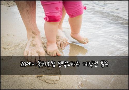 20세자동차보험 선택노하우  계약전 필수