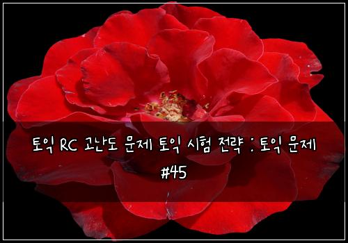 토익 RC 고난도 문제 토익 시험 전략 : 토익 문제 #45