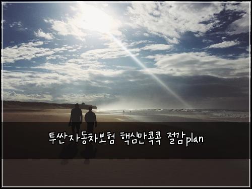 투싼자동차보험 핵심만콕콕  절감plan