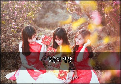 오늘의 색상