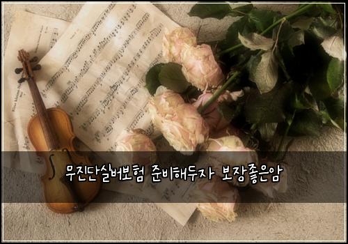 무진단실버보험 준비해두자  보장좋은암