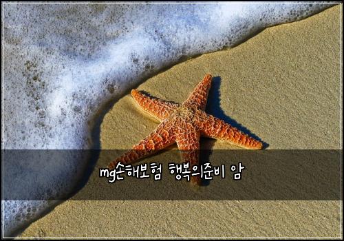 mg손해보험 행복의준비  암