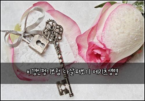 비갱신정기보험 다살펴보기  메리츠생명