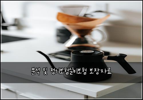 분석 및 정기보험실비보험 보장자료
