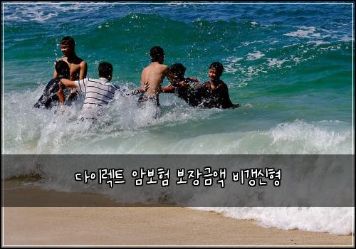 다이렉트 암보험 보장금액  비갱신형