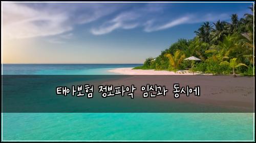ํ์๋ณดํ ์ ๋ณดํ์
์์ ๊ณผ ๋์์