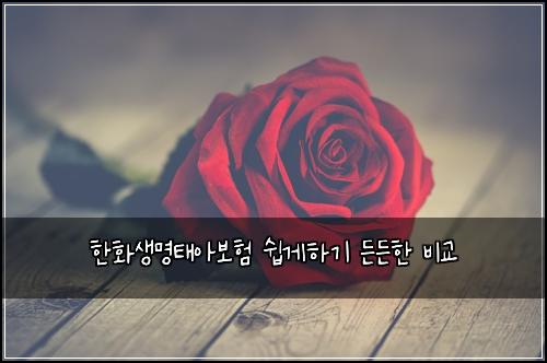 ํํ์๋ช
ํ์๋ณดํ ์ฝ๊ฒํ๊ธฐ ๋ ๋ ํ ๋น๊ต