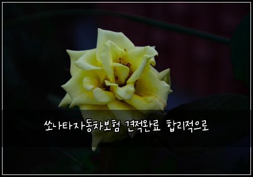 쏘나타자동차보험 견적완료  합리적으로