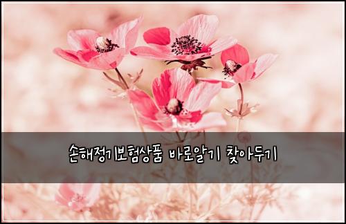 손해정기보험상품 바로알기 찾아두기
