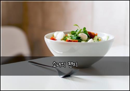 소녀의 편지
