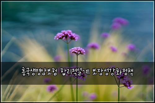 흥국생명암보험 합리적설계  보장성강화정책