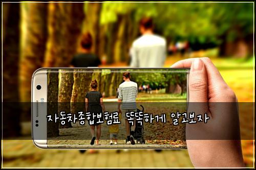 ์๋์ฐจ์ข
ํฉ๋ณดํ๋ฃ ๋๋ํ๊ฒ ์๊ณ ๋ณด์