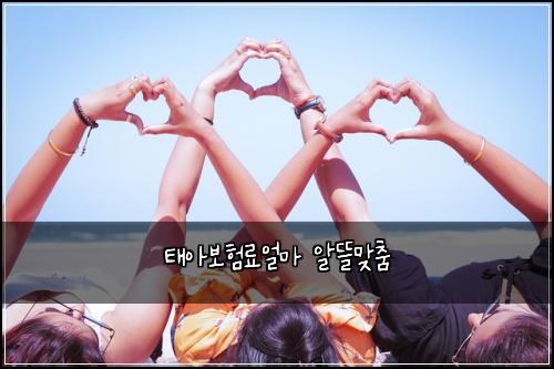 ํ์๋ณดํ๋ฃ์ผ๋ง ์๋ฐ๋ง์ถค