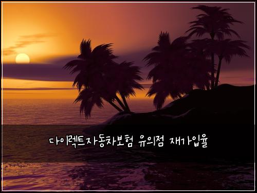 다이렉트자동차보험 유의점  재가입율