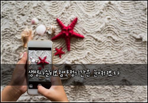 생명사실비보험약정기간은 눈여겨보자