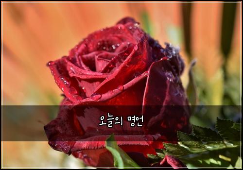 오늘의 명언