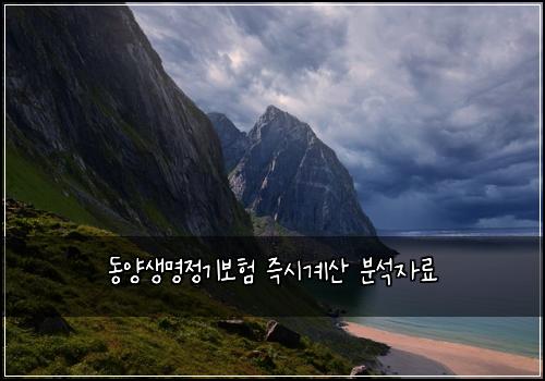 동양생명정기보험 즉시계산  분석자료