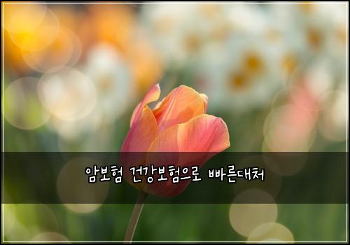 암보험 건강보험으로 빠른대처