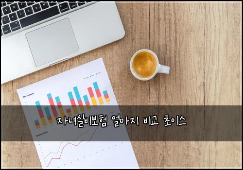 자녀실비보험 얼마지  비교 초이스