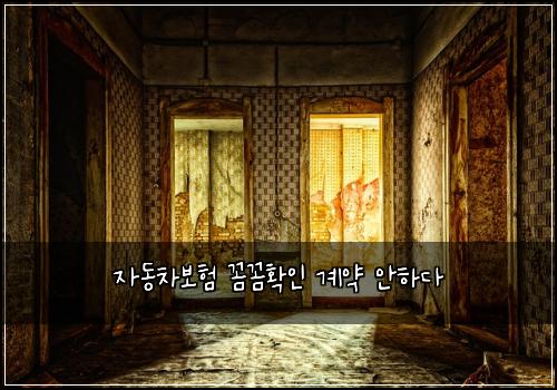자동차보험 꼼꼼확인  계약 안하다
