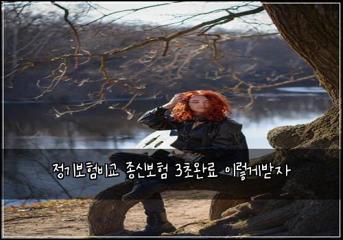 정기보험비교 종신보험 3초완료 이렇게받자