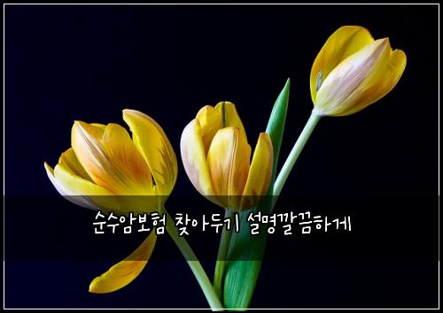 ์์์๋ณดํ ์ฐพ์๋๊ธฐ ์ค๋ช
๊น๋ํ๊ฒ