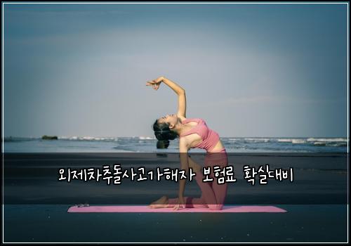외제차추돌사고가해자 보험료 확실대비