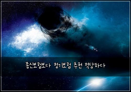 종신보험보다 정기보험 추천 적당하다