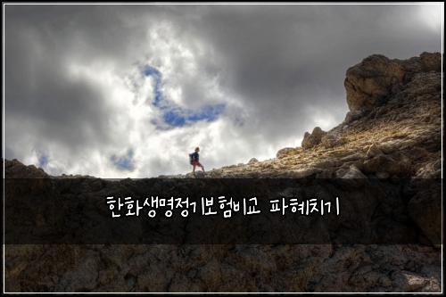 한화생명정기보험비교 파혜치기
