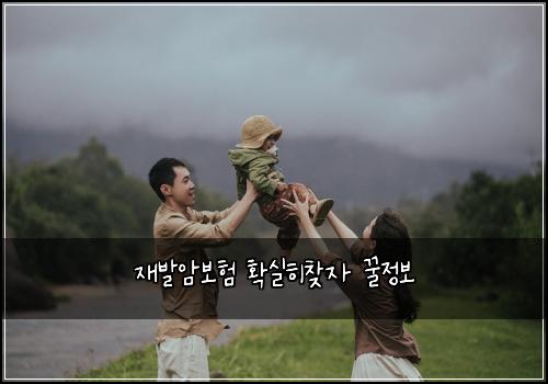 재발암보험 확실히찾자  꿀정보