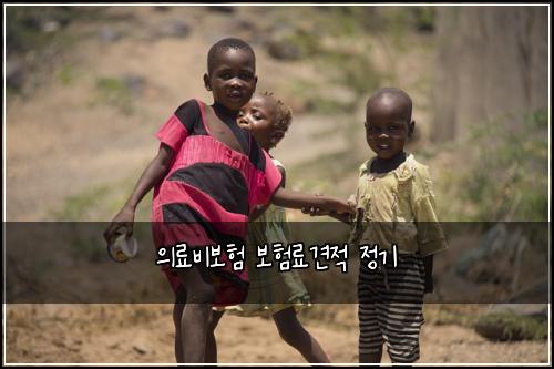 의료비보험 보험료견적  정기