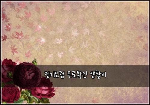 정기보험 무료확인  생활비