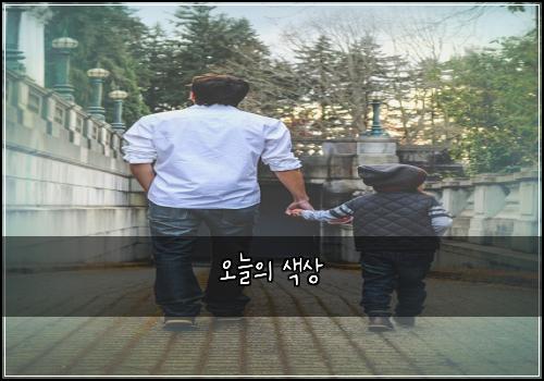 오늘의 색상