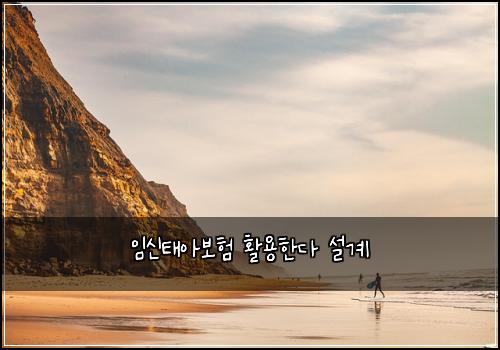 임신태아보험 활용한다  설계