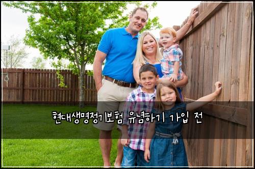 현대생명정기보험 유념하기  가입 전