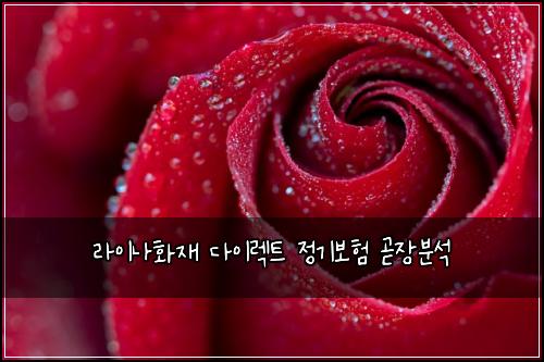 라이나화재 다이렉트 정기보험 곧장분석 