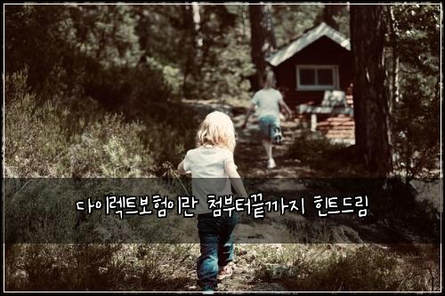 다이렉트보험이란 첨부터끝까지 힌트드림