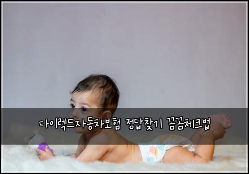 다이렉드자동차보험 정답찾기  꼼꼼체크법