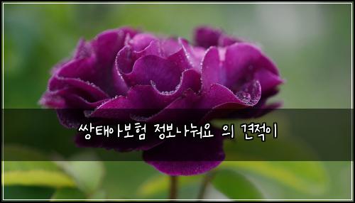 쌍태아보험 정보나눠요  의 견적이